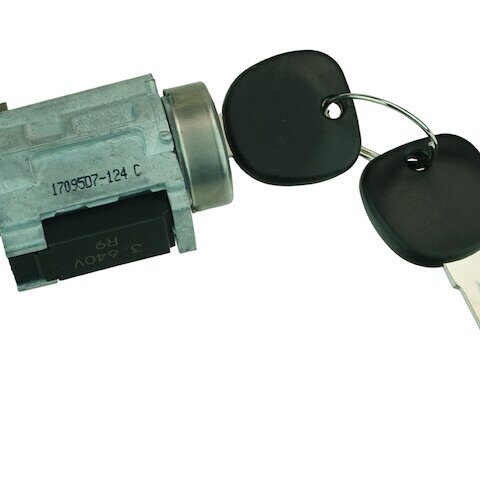 DIY Solutions Ignition Lock Cylinder BSS00748