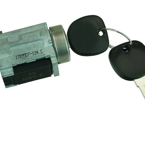 DIY Solutions Ignition Lock Cylinder BSS00748