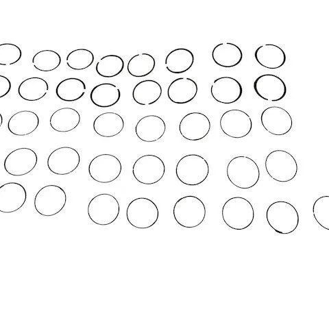Replacement Piston Ring Set 101-202
