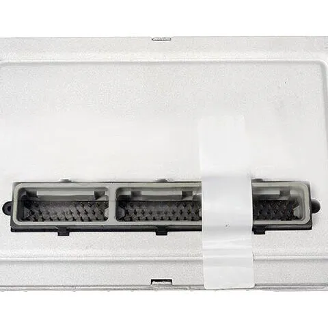 Dorman Electronic Control Unit 318-116