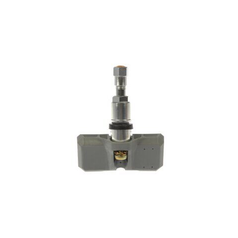DIY Solutions TPMS Sensor WTS00069