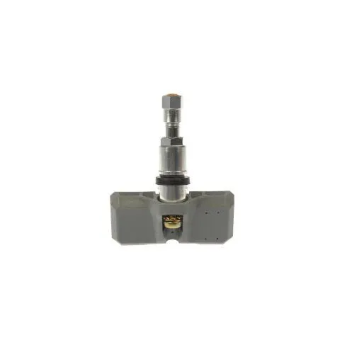 DIY Solutions TPMS Sensor WTS00069