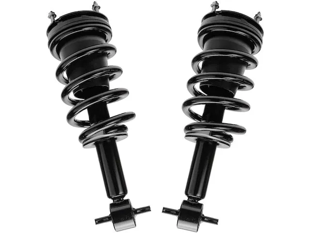 Detroit Axle Strut Assembly Set