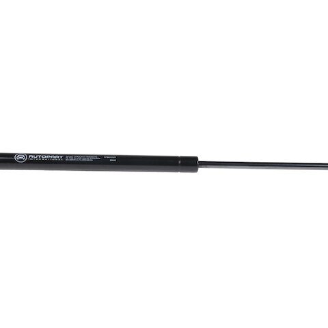 API Hood Strut 19019-07670063
