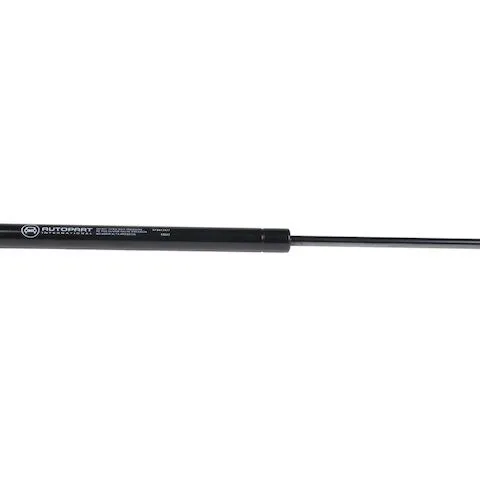 API Hood Strut 19019-07670063