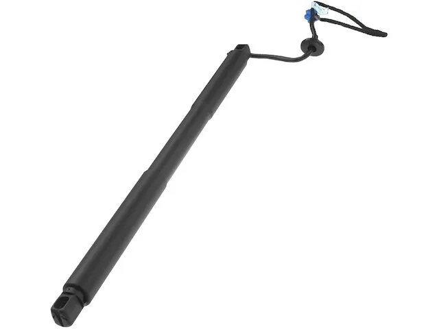 Autopart Premium Liftgate Lift Support