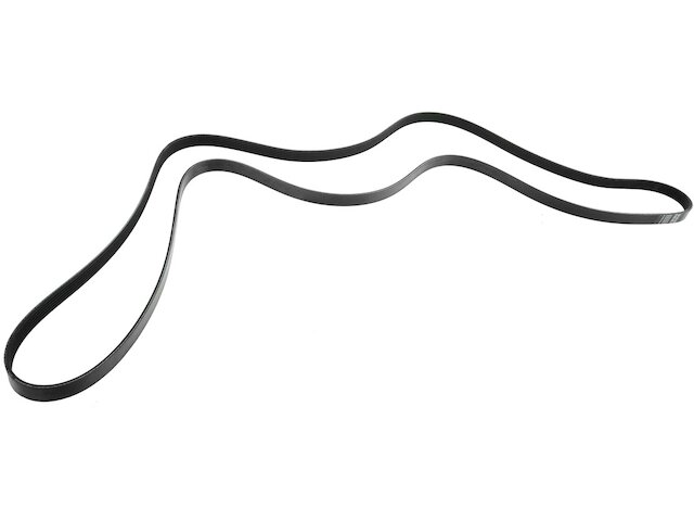 DIY Solutions Multi Rib Belt