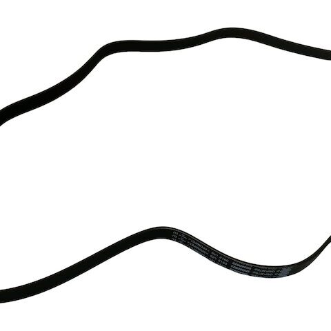 SKP Multi Rib Belt SK060822
