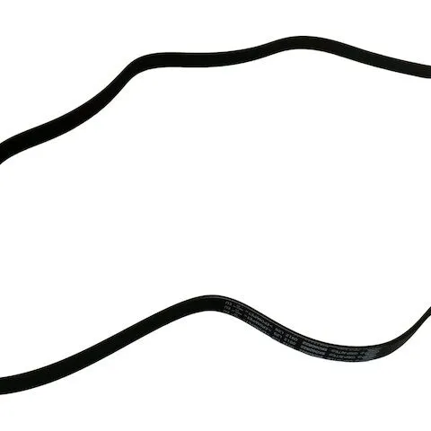 SKP Multi Rib Belt SK060822