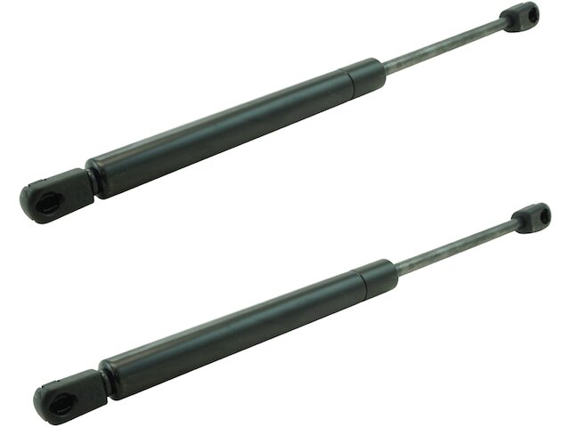 DIY Solutions Hood Strut Set