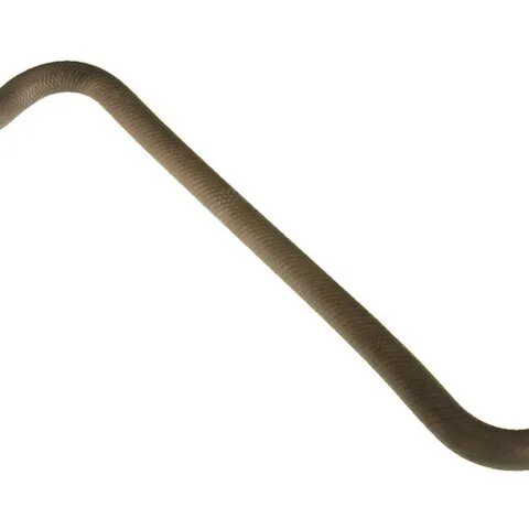 AC Delco Valve To Intake Manifold Heater Hose 16097M