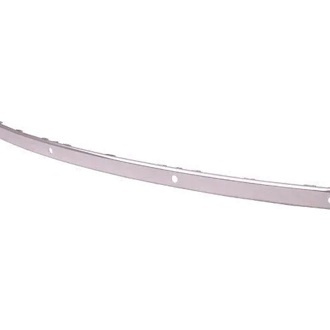 TechPro Rear Bumper Impact Strip CH1157812