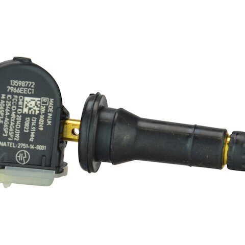 DIY Solutions TPMS Sensor WTS00288