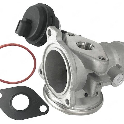 SKP EGR Valve SKEGV1079