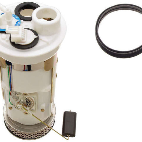 Delphi Fuel Pump Assembly W0133-1602743