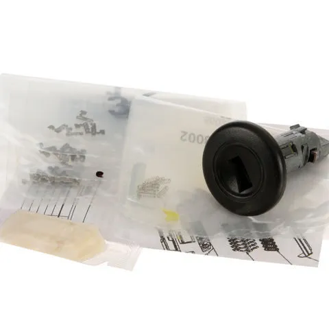 Genuine Ignition Lock Assembly W0133-1868349
