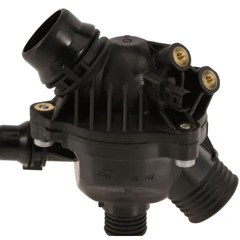 Mahle Thermostat Assembly W0133-1791241