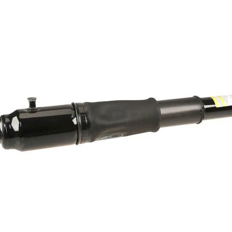 AC Delco Rear Shock Absorber W0133-2091912