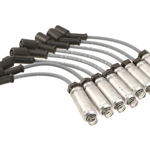 AC Delco Spark Plug Wire Set W0133-4411571